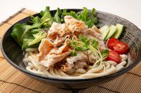 Kake dan Salad Udon, Jenis Udon Panas dan Dingin yang Enak dari Jepang