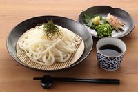 Kake dan Salad Udon, Jenis Udon Panas dan Dingin yang Enak dari Jepang