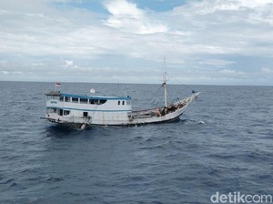 978 Batang Kayu Merbau Ilegal Diamankan di Sulsel