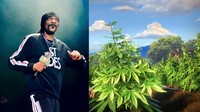Tak hanya hewan, adapula yang menjadi sebuah pohon ganja yakni Snoop Dogg. Dok. Ist