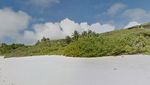 Pulau yang Jauh dari Mana-mana, Tapi Sampahnya dari Mana-mana