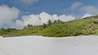 Pulaunya memiliki panjang 96 kilometer dan lebar 51 kilometer. Di tahun 1988, UNESCO menetapkan Pulau Henderson sebagai Situs Warisan Dunia (Google Maps)