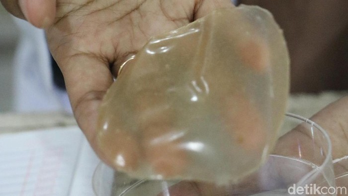 bioplastik berbahan dasar singkong