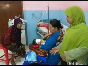Monyet Liar Serang Bayi di Probolinggo, Sempat Digendong Lalu Dilempar