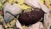 Hidangan yang satu ini berisi nasi, potongan daging ayam, hingga bahan-bahan makanan lainnya. Tapi justru membuat banyak orang yang melihatnya jadi kehilangan nafsu makan. Foto: Istimewa