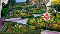 Adalah Lombard Street yang berlokasi di Kota San Francisco, California, AS. Pengenaan biaya akan segera dilakukan karena kemacetan yang terjadi di sana (iStock)