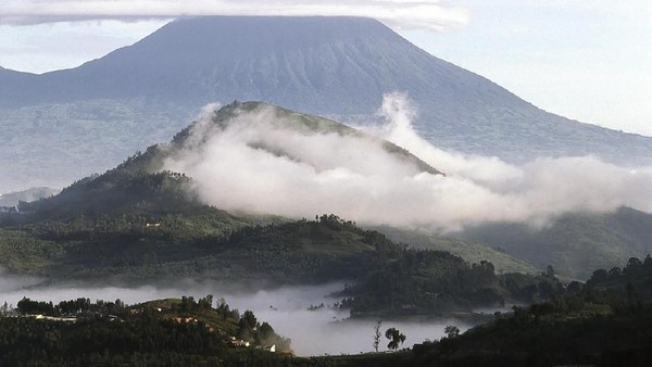 Inilah Taman Nasional Virunga ditemukan oleh Parc Albert di tahun 1925. Taman Nasional Virunga terletak di cekungan berair Albertine Rift di antara Uganda dan Rwanda. Total luasannya 7.800 kilometer persegi (iStock)