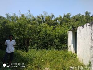 Perangkap akan Dipasang Atasi Serangan Monyet Liar di Probolinggo