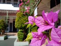 Hasil foto menggunakan Nokia 3.1 Plus.
