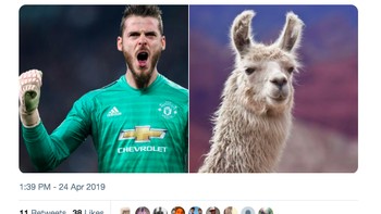 De Gea musim ini dibandingkan musim lalu. Foto: istimewa