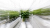 Geliat bisnis ganja yang menguntungkan ini pun tak heran membuat bisnis tersebut dapat bernilai hingga ratusan triliun rupiah.