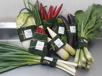 Ramah Lingkungan, Supermarket di Bali hingga Vietnam Pakai Kemasan Daun pisang