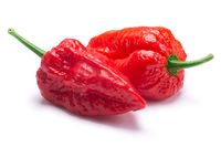 'Umami' hingga 'Ghost Pepper' Masuk 17 Kosa Kata Kuliner Baru Merriam-Webster 