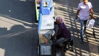 Mereka berjejer di bahu jalan.