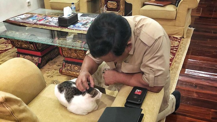 Prabowo dan hewan peliharaannya. (Foto: Instagram Rizky Imansyah) Prabowo dan hewan peliharaannya. (Foto: Instagram Rizky Imansyah)