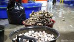 Seperti Ini Ikan dan Seafood Segar yang Dijual di Pasar Ikan Muara Baru