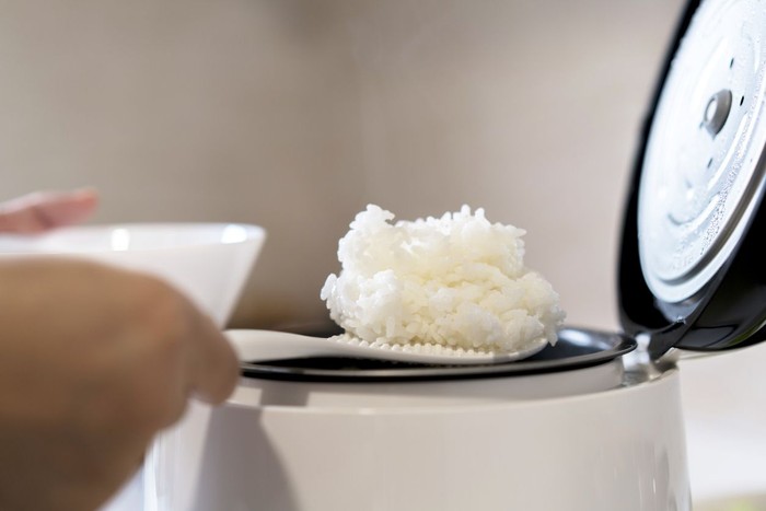 Rice cooker