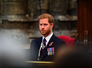 Pangeran Charles Positif Corona, Pangeran Harry Frustrasi
