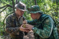 Durian dan Nangka Jadi Santapan Tim Pelatihan Korps Marinir AS di Hutan Singapura