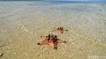 Foto: Fenomena Laut Terbelah di Lombok