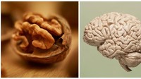 Kacang walnut memiliki bagian dalam yang persis mirip seperti otak manusia. Dengan lekukan dan gurat cokelat dari permukaan kacang, walnut semakin mirip seperti otak. Foto: Womans Day