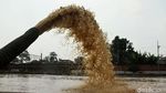 Penampakan Ketinggian Banjir di Sungai Ciliwung
