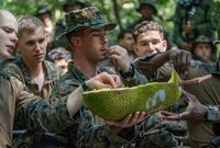 Durian dan Nangka Jadi Santapan Tim Pelatihan Korps Marinir AS di Hutan Singapura