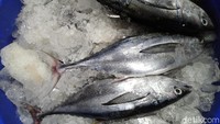 Jenis ikan yang dijual juga banyak, mulai ikan kecil hingga ikan super besar seperti tuna dan tongkol. Semua ikan bisa dibeli dalam jumlah sedikit maupun banyak.  Foto: Devi S. Lestari/detikfood