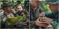 Durian dan Nangka Jadi Santapan Tim Pelatihan Korps Marinir AS di Hutan Singapura