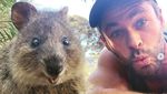Melihat lagi Kebersamaan Chris Hemsworth dan Bintang Avengers Lainnya