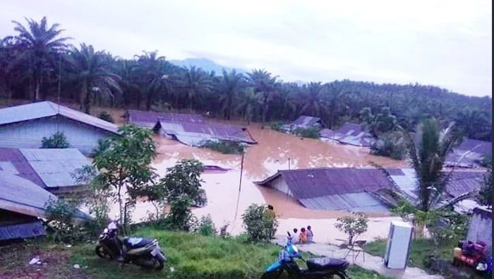 Foto: Sutopo Purwo Nugroho Foto: Sutopo Purwo Nugroho