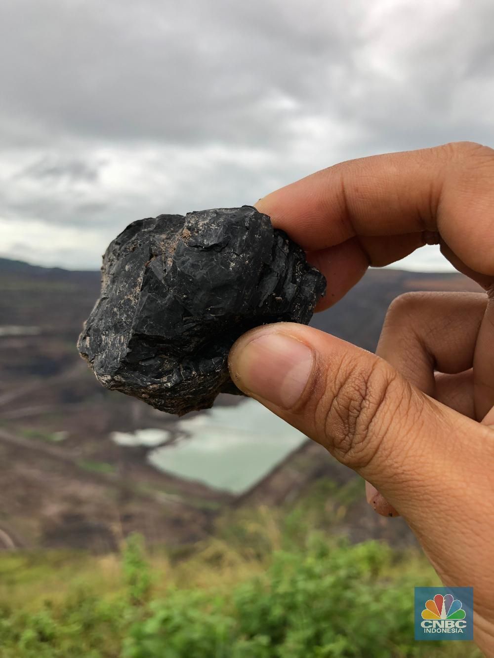 Tambang Kaltim Prima Coal