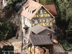 Begini Kemampuan Zoom Oppo Reno