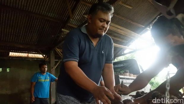 Wachyu Hidayat, kuli salak lolos jadi anggota DPRD Banjarnegara.