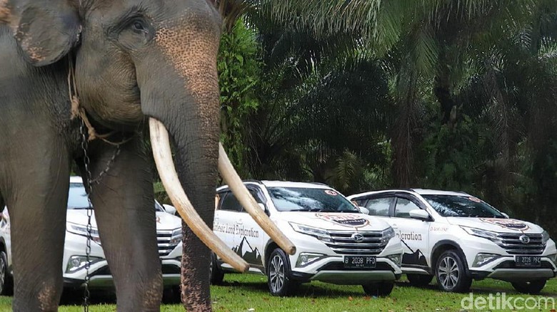 Daihatsu Terios Foto: Luthfi Anshori Daihatsu Terios Foto: Luthfi Anshori