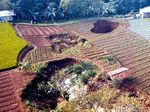Penampakan Lubang Raksasa di Sukabumi yang Bikin Geger Penampakan Lubang Raksasa di Sukabumi yang Bikin Geger