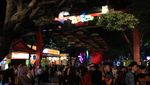 Foto: Kelap-kelip Dufan di Malam Hari