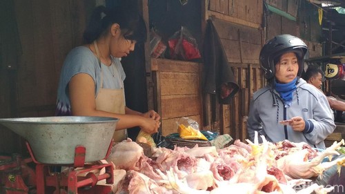 penjual ayam di pasar blitar