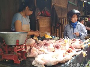 Meski Harga Ayam Naik Jelang Ramadan, Tapi Penjualan Meningkat 2 Kali Lipat