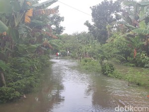 Video Dahsyatnya Banjir di Bojonegoro, Ratusan Rumah Terdampak