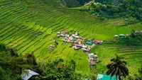 Inilah tempat scene ikonik tempat Thanos merenungkan rencananya di Age of Ultron dan Endgame. Ternyata, lokasinya ada di Banaue Rice Terraces, Filipina (iStock)