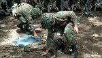 Aksi Marinir Makan Ular Saat Latihan Perang