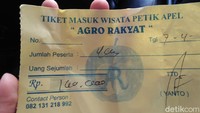 Ada tempat wisata petik apel besar yang mainstream. Namun, Anda mesti coba agrowisata petik apel yang dimiliki oleh rakyat (Masaul/detikcom)  