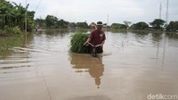 Selain merendam jalan raya, puluhan desa di Kota dan Kabupaten Pasuruan juga terendam.