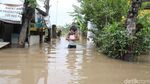 Banjir Mulai Surut, Jalan Pantura Pasuruan Kembali Dibuka