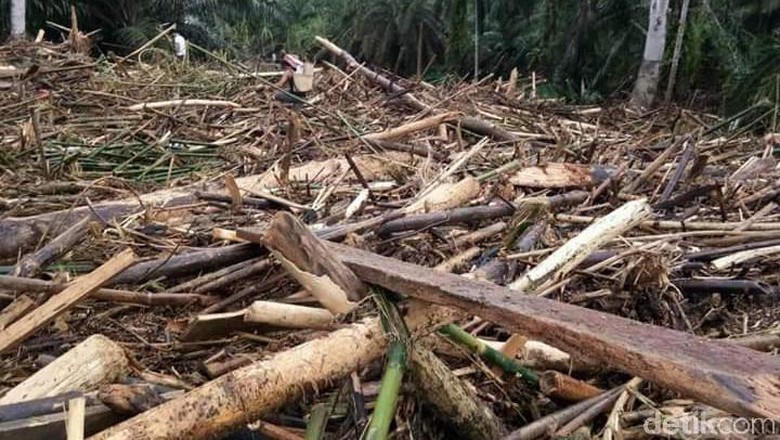 BNPB: 30 Orang Meninggal dan 6 Orang Hilang Usai Banjir di Bengkulu BNPB: 30 Orang Meninggal dan 6 Orang Hilang Usai Banjir di Bengkulu