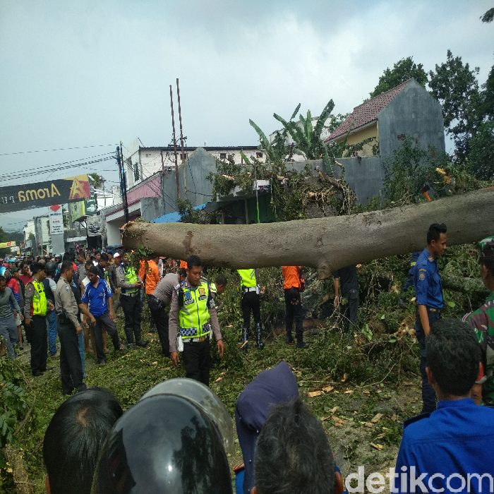 Bruk, Pohon Tumbang Tewaskan Tukang Ojek di Garut