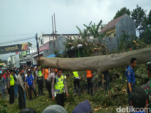 Bruk, Pohon Tumbang Tewaskan Tukang Ojek di Garut