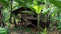 Kandang hewan ternak yang ada di kebun warga. Ternak yang dimangsa macan tutul berada tak jauh dari permukiman warga. (Foto: Dok. Istimewa)