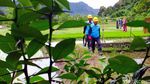 PLTU Teluk Sirih Siap Undang Investor Dorong Perekonomian Warga